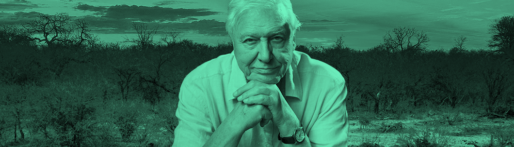 David Attenborough