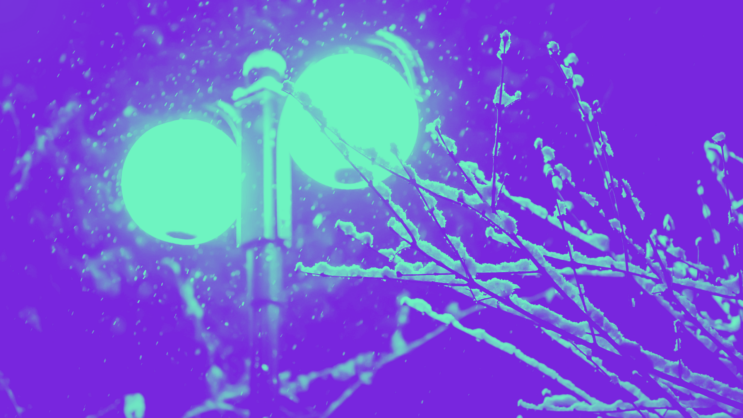 Prisprognos: tillfällig ökning i januari.