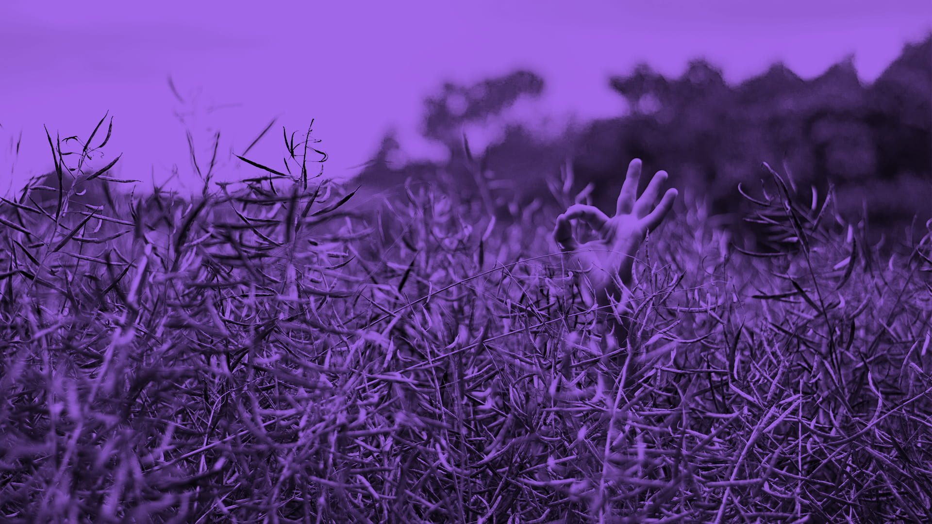 Hand sticker upp ur gräset