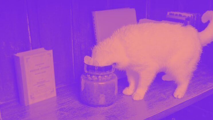 Sällsynt dålig tid att binda elpriset.