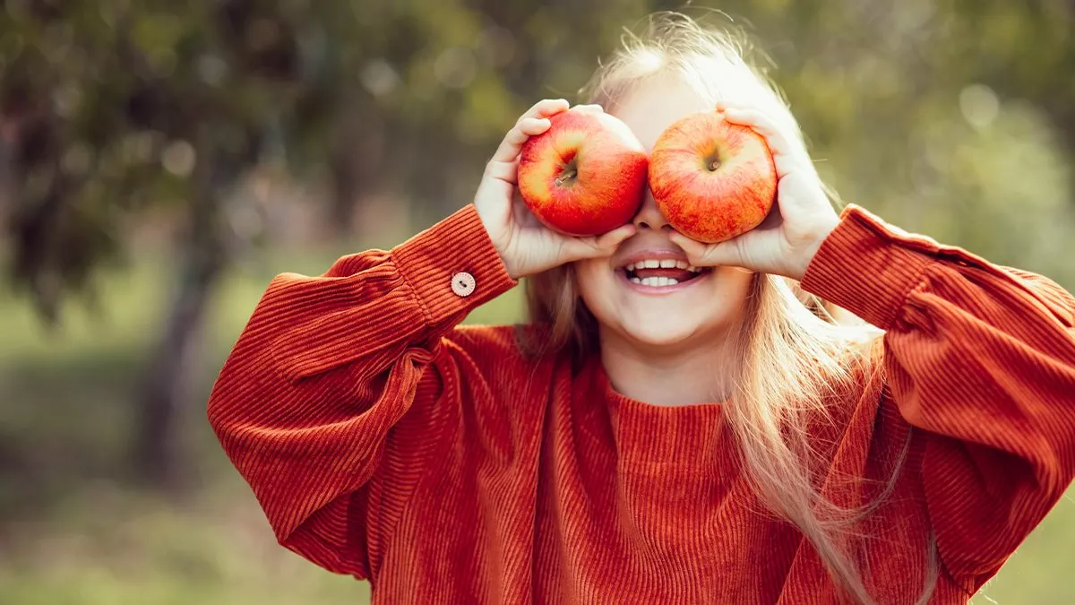 Äpplen flicka höst Natur Frukt Träd