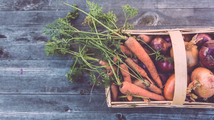 Sista måltiden (för säsongen)