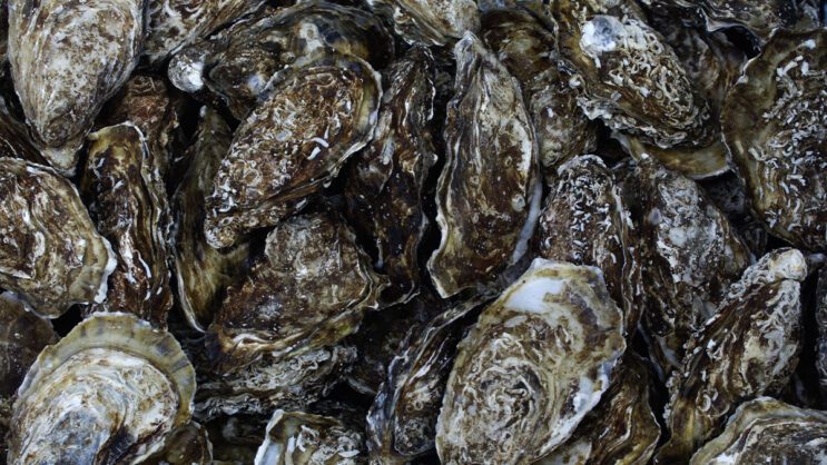 Good klimatnews #43.