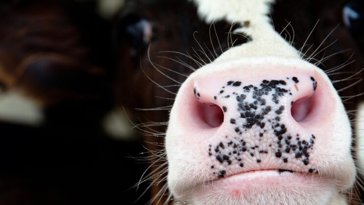 Good klimatnews #45.