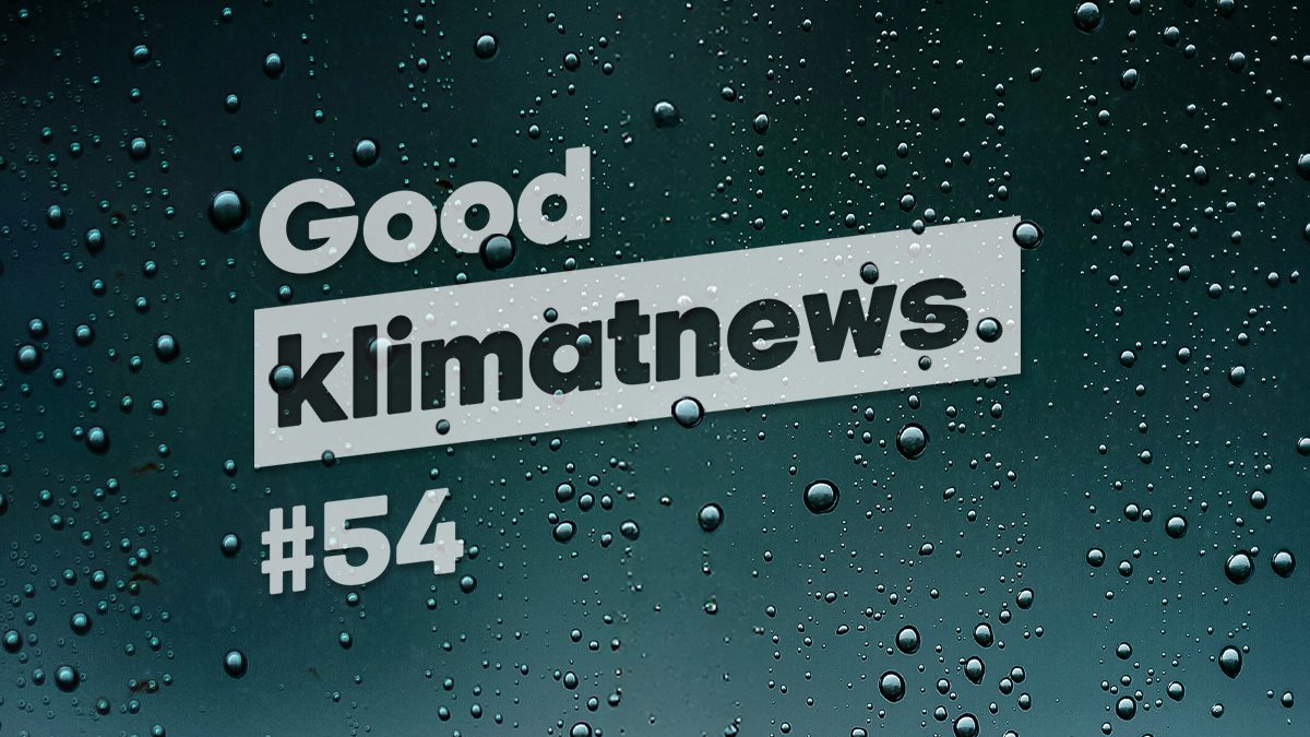 Good Klimatnews #54