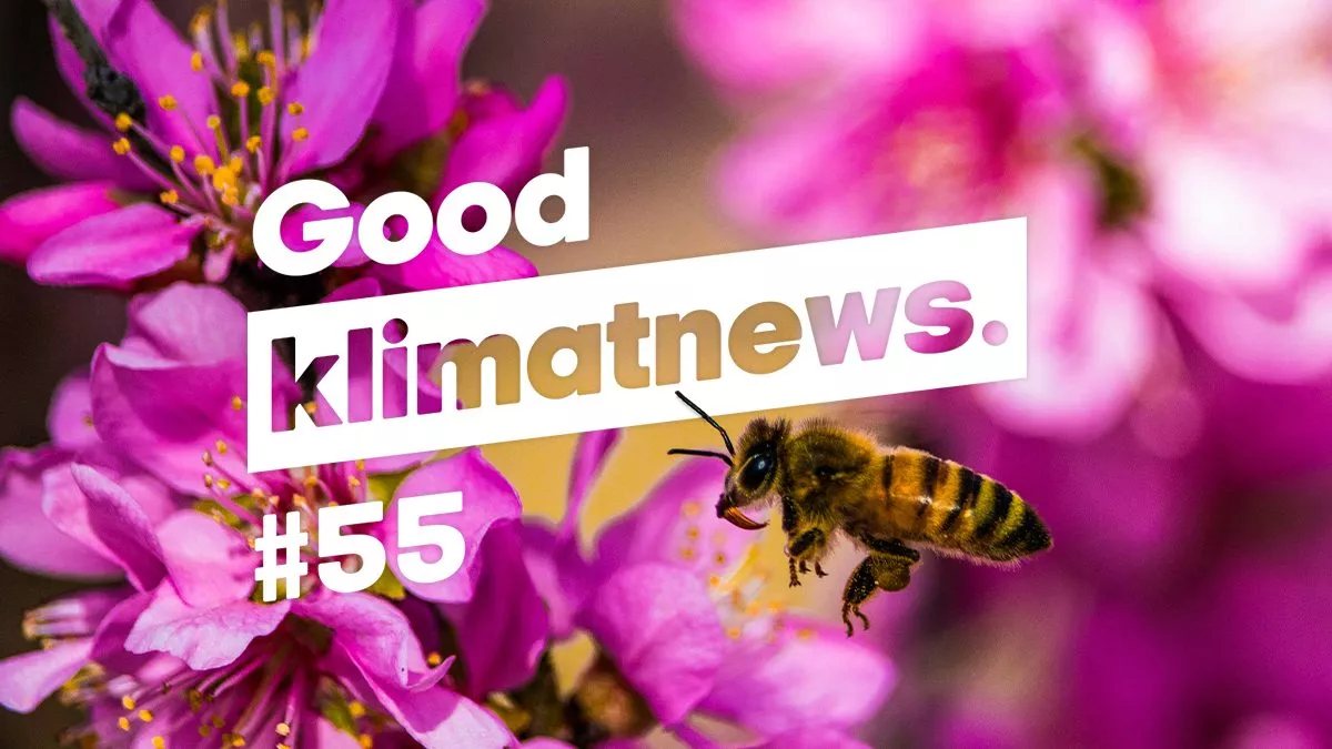 Positiva klimatnyheter från GodEl