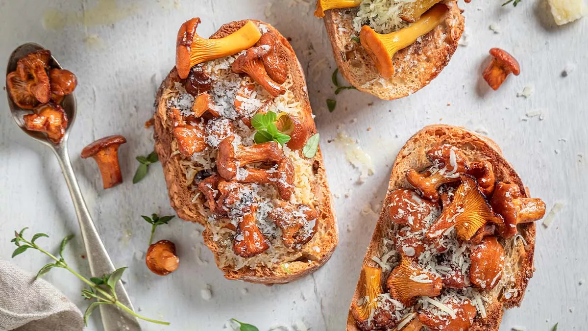 Svamptoast macka svampmacka