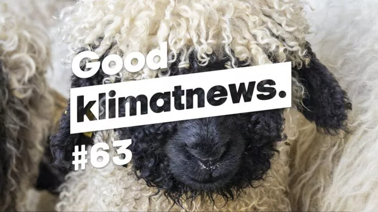 Good klimatnews #63.